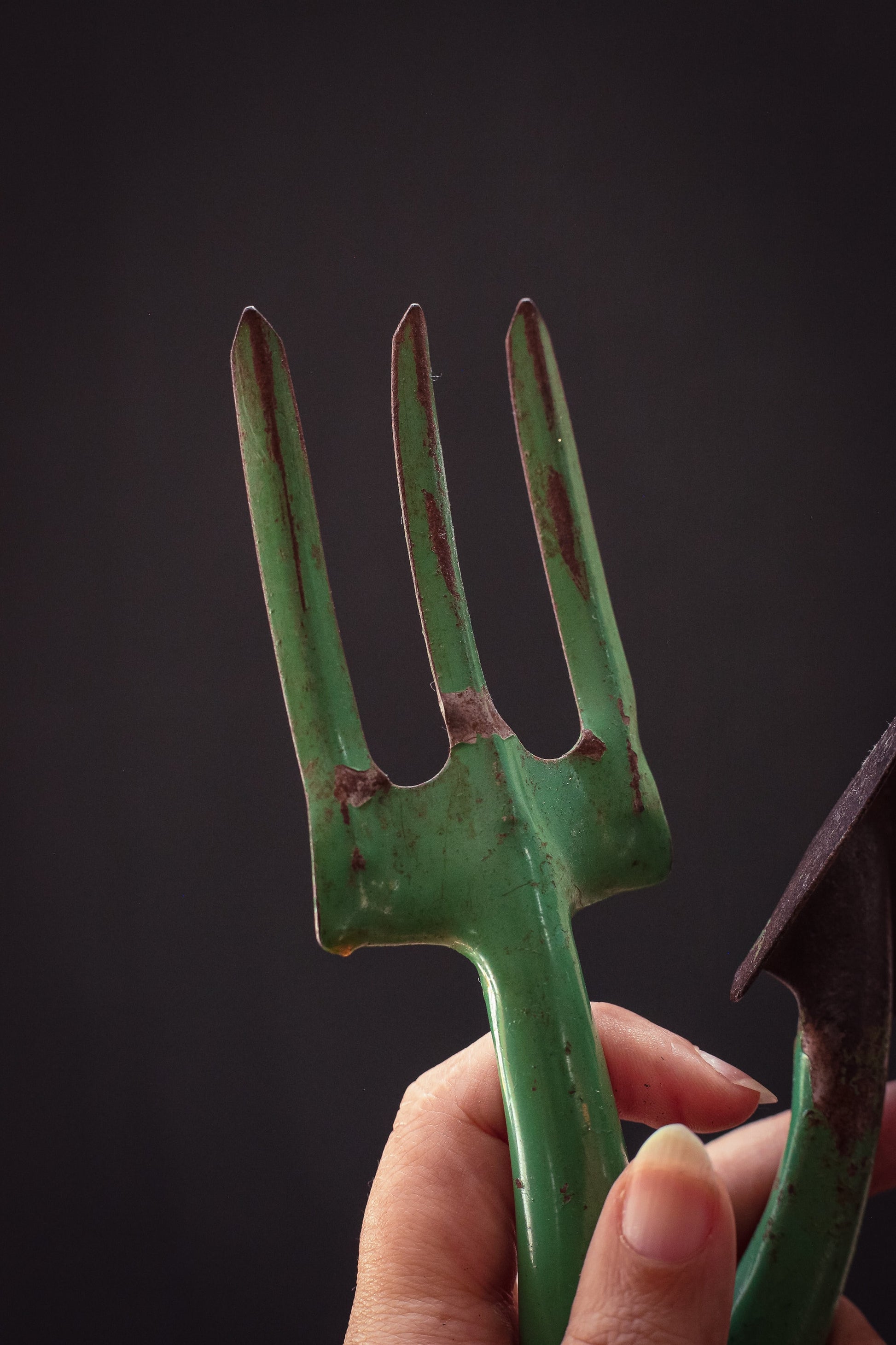Green Metal Garden Fork & Spade - Vintage Metal Gardening Tools