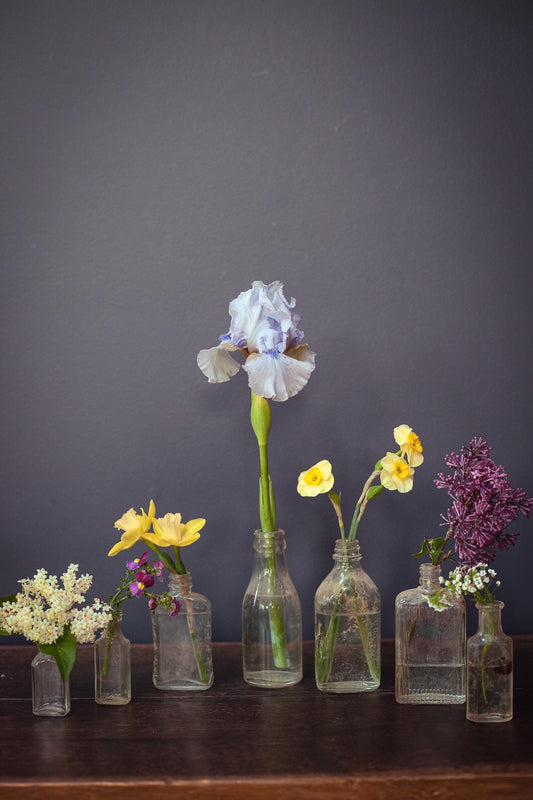 Set of 7 Clear Glass Apothecary Bottles - Vintage Antique Clear Glass Bottle Bud Vases