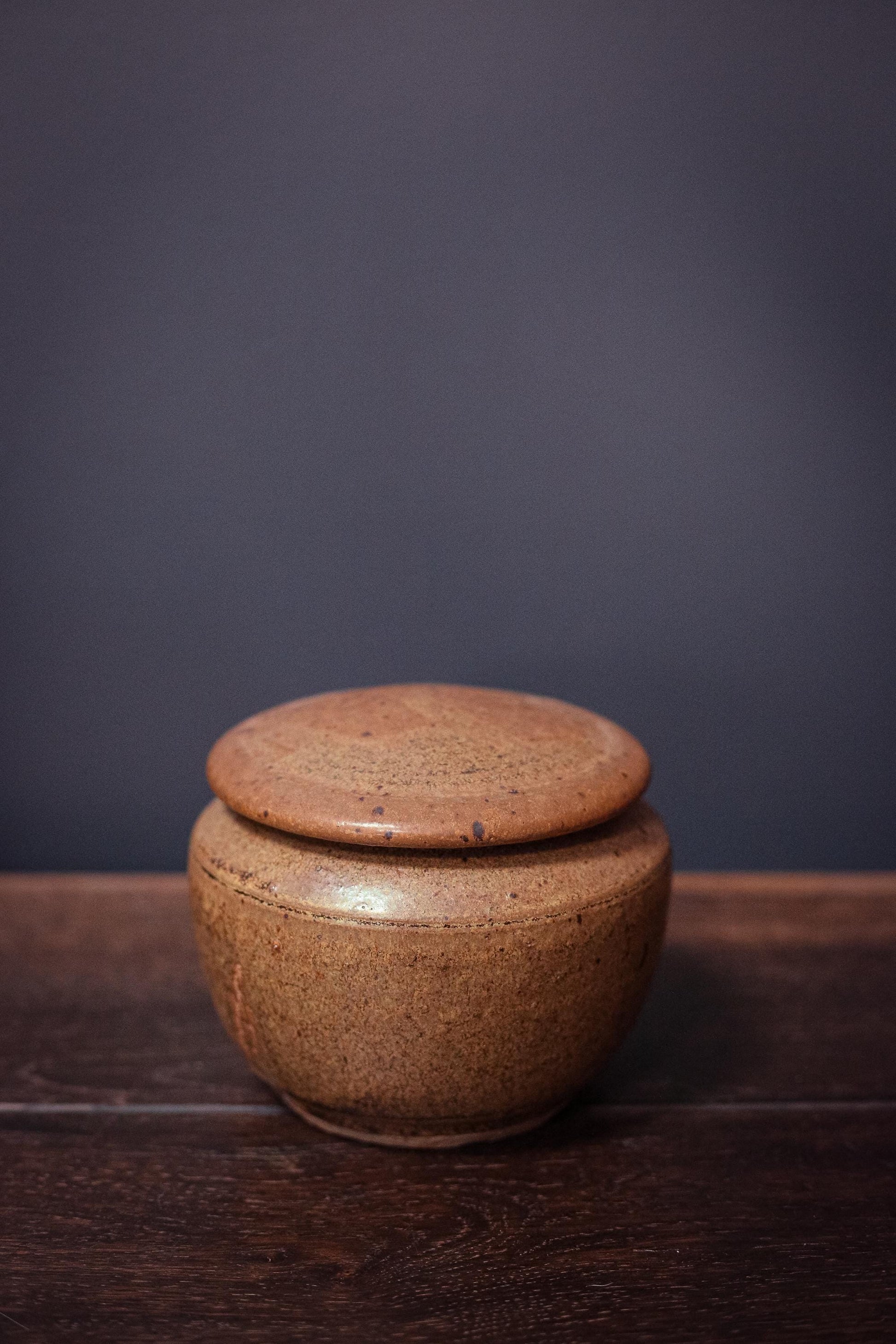 Speckle Glazed Ceramic Canister with Lid - Vintage Studio Ceramic Pottery Container