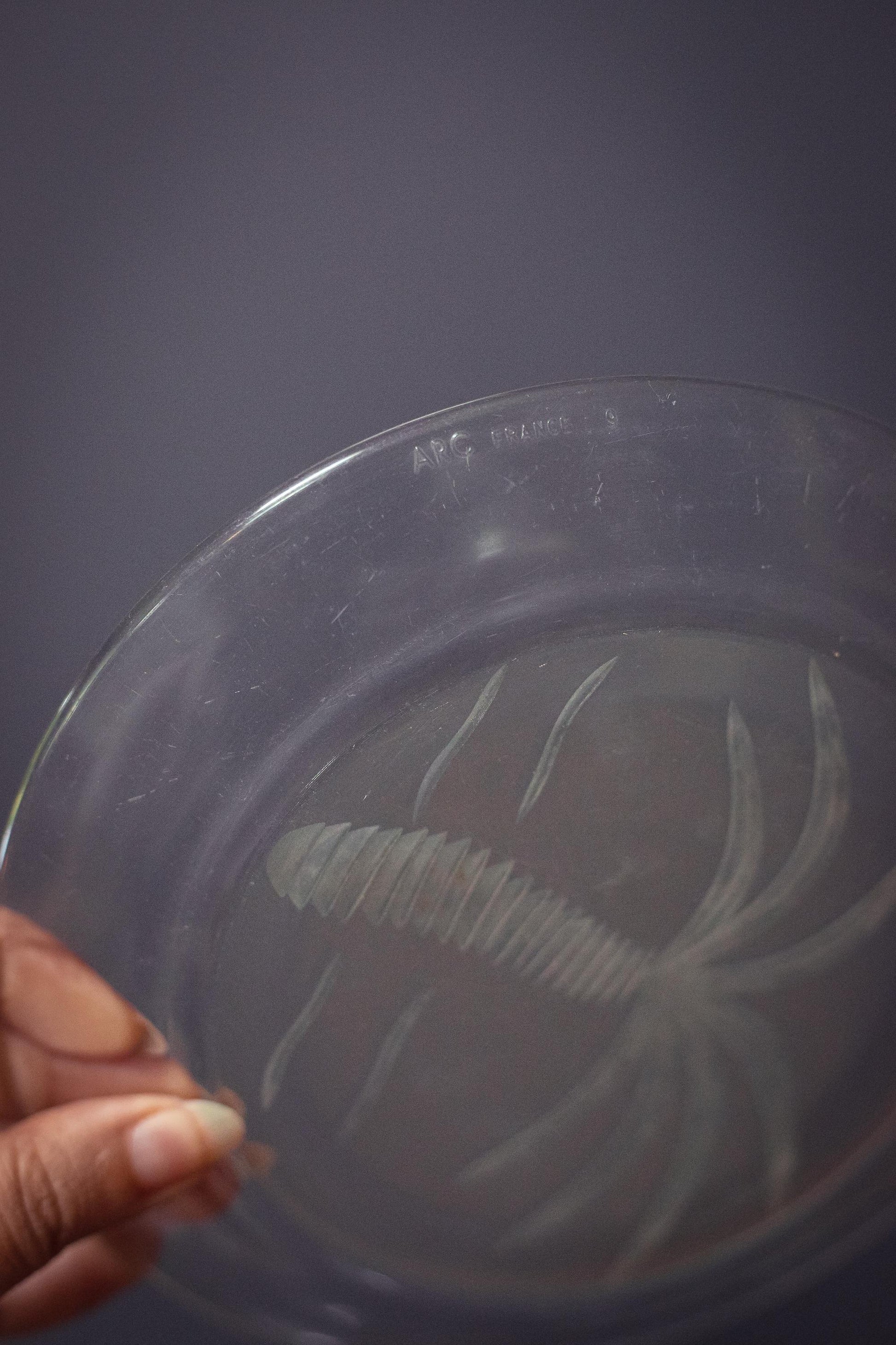 Arcoroc France Cut Glass Fruits Plates with Palm Design - Vintage Arc France Plates