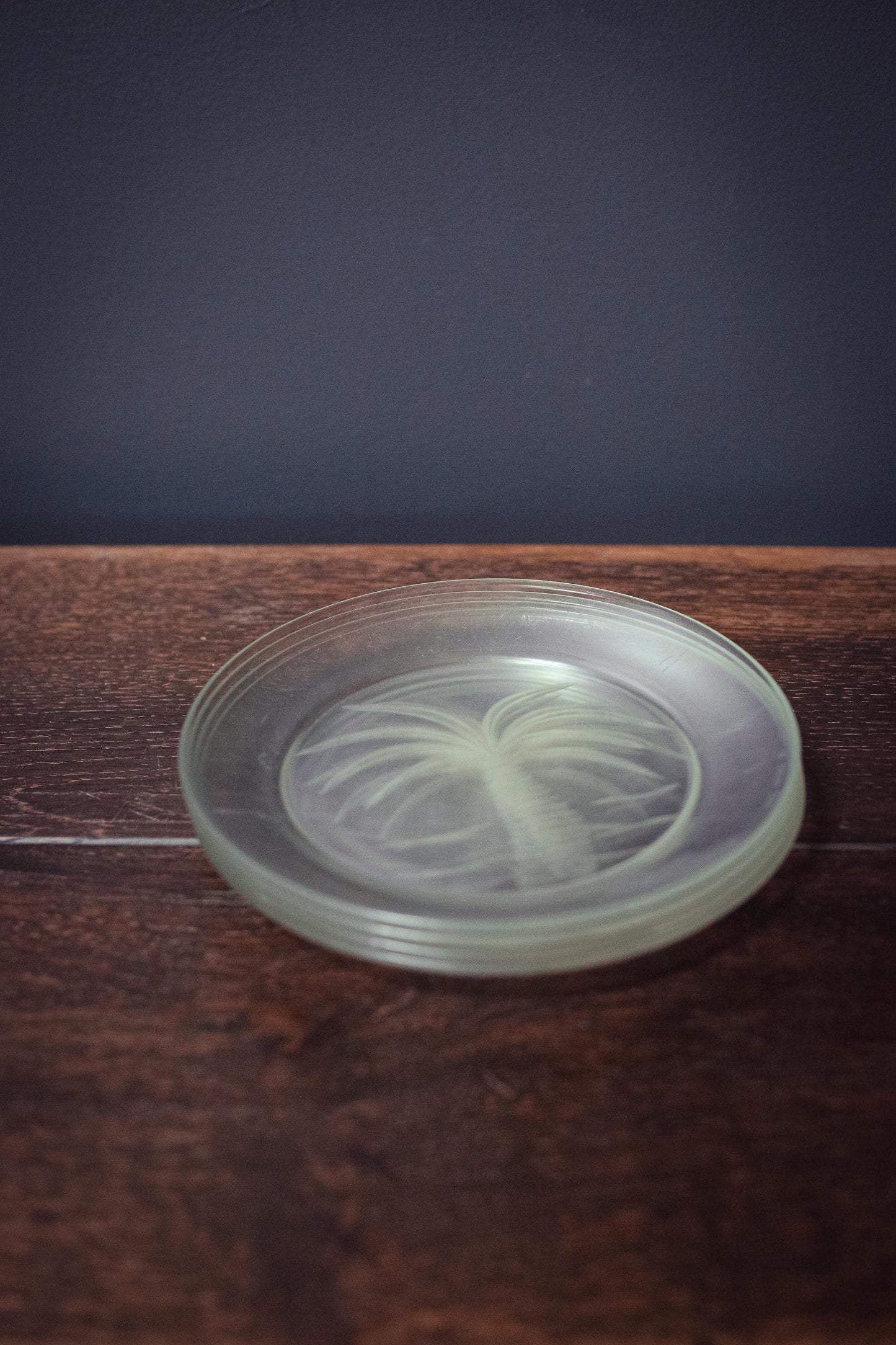 Arcoroc France Cut Glass Fruits Plates with Palm Design - Vintage Arc France Plates