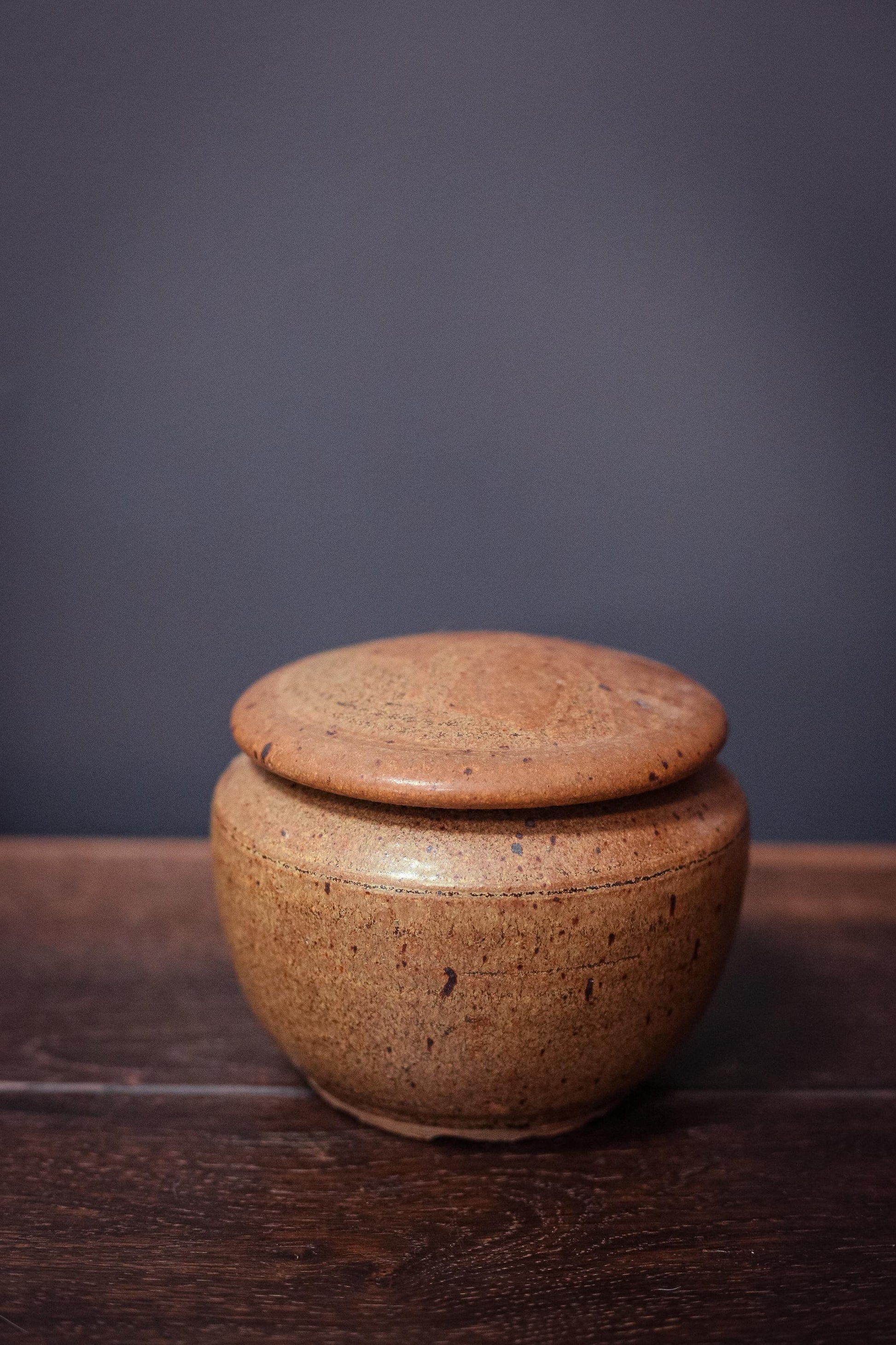 Speckle Glazed Ceramic Canister with Lid - Vintage Studio Ceramic Pottery Container