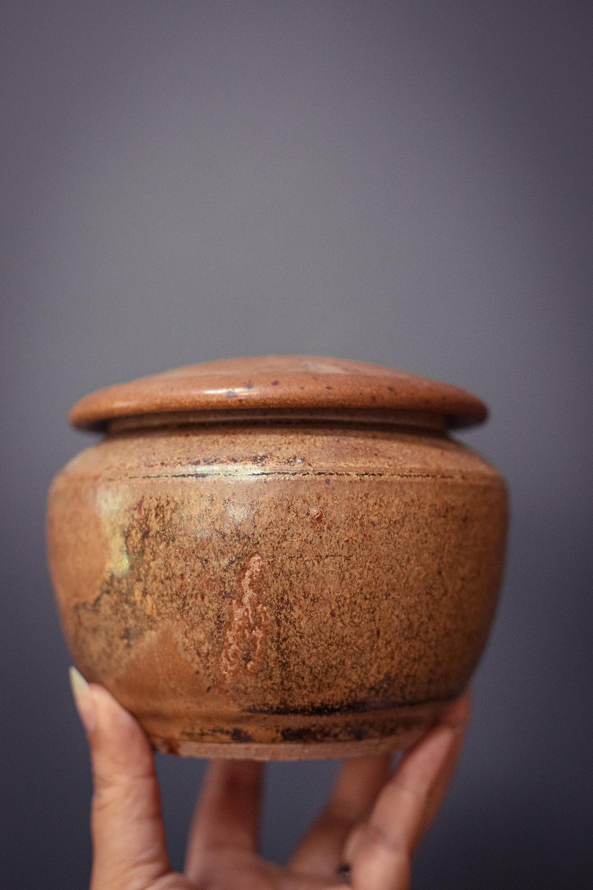 Speckle Glazed Ceramic Canister with Lid - Vintage Studio Ceramic Pottery Container