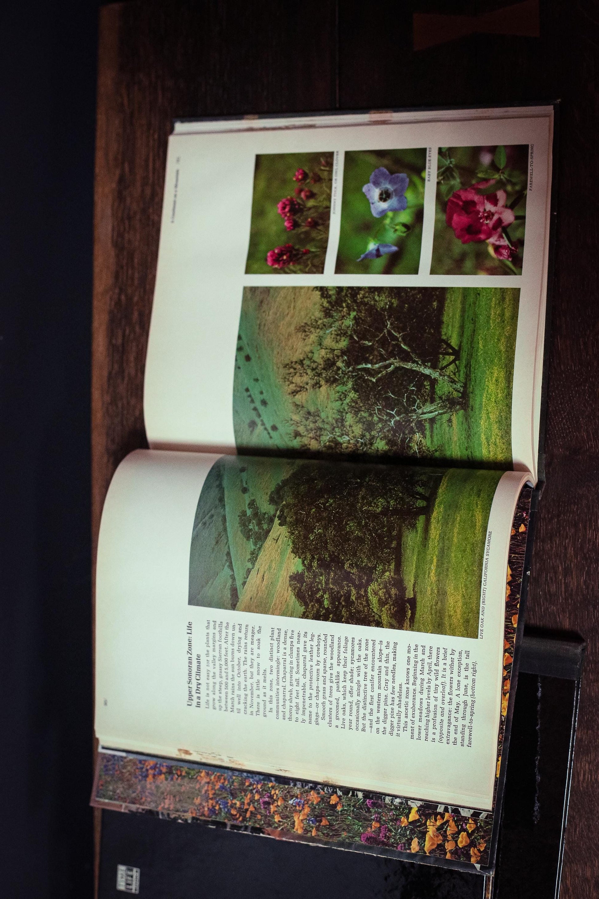 American Wilderness Time Life Library *Select from dropdown* - Vintage Book Ships Media Mail