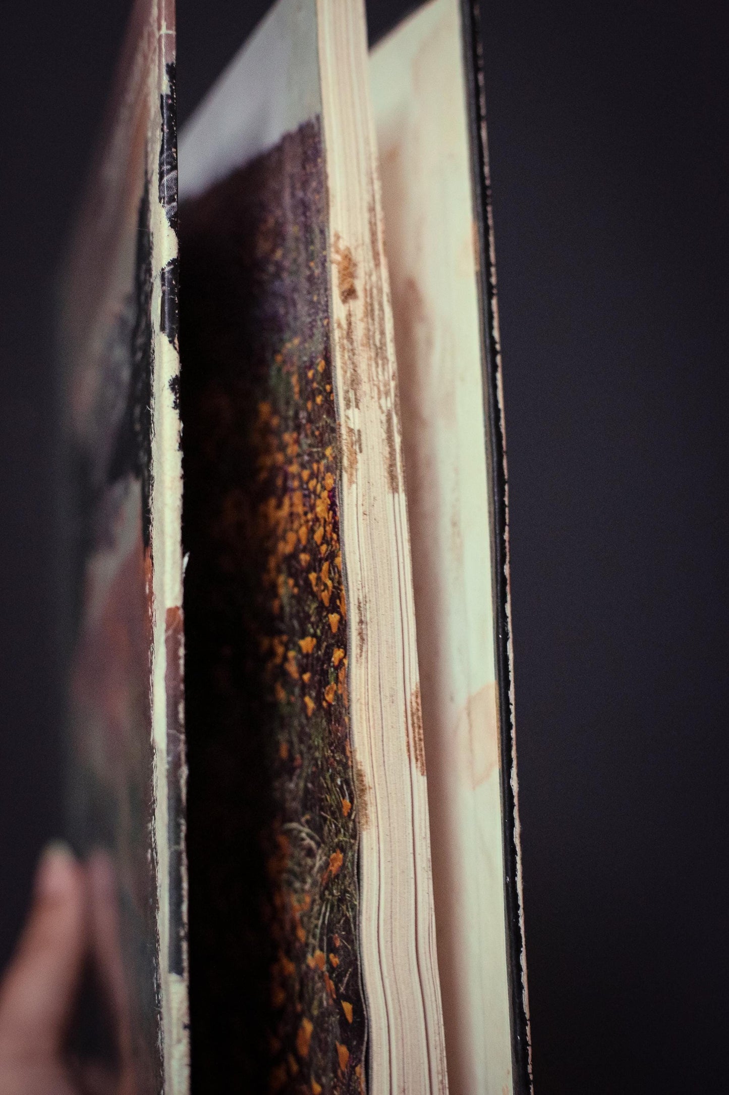 American Wilderness Time Life Library *Select from dropdown* - Vintage Book Ships Media Mail