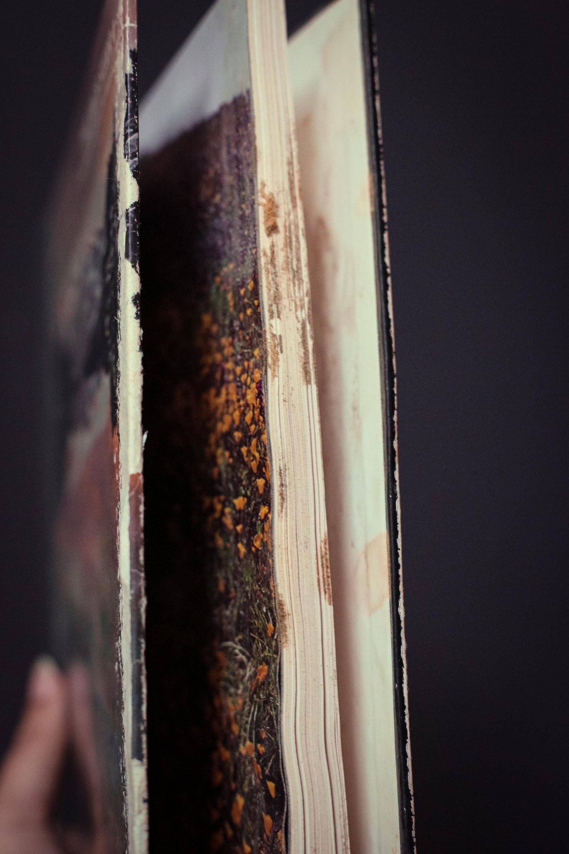 American Wilderness Time Life Library *Select from dropdown* - Vintage Book Ships Media Mail