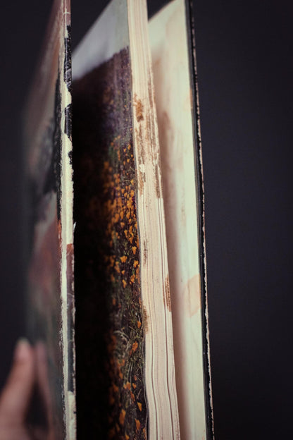 American Wilderness Time Life Library *Select from dropdown* - Vintage Book Ships Media Mail