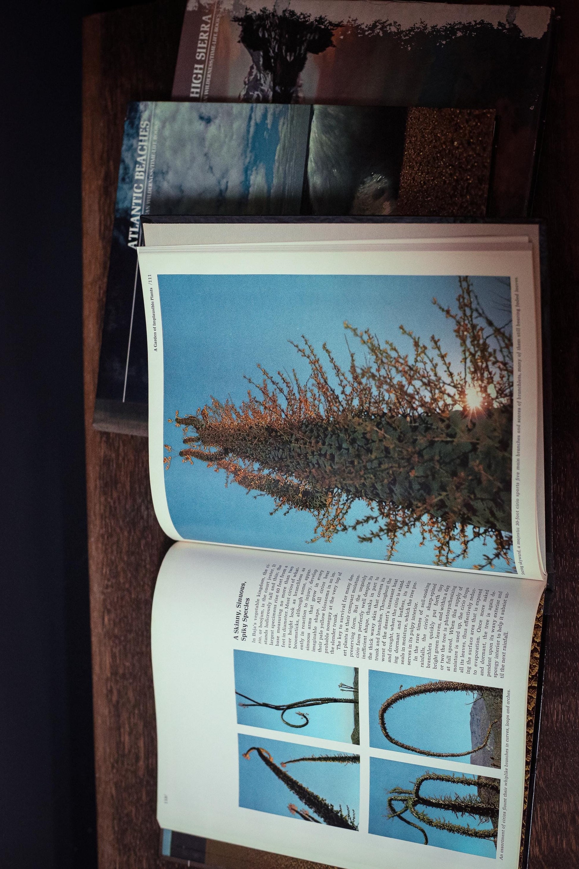 American Wilderness Time Life Library *Select from dropdown* - Vintage Book Ships Media Mail