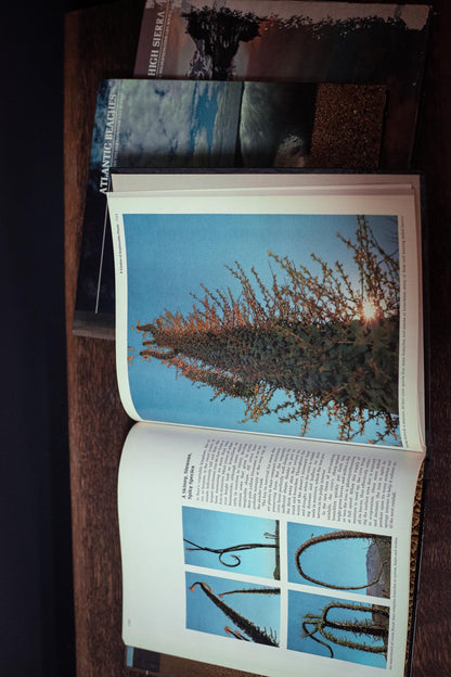 American Wilderness Time Life Library *Select from dropdown* - Vintage Book Ships Media Mail