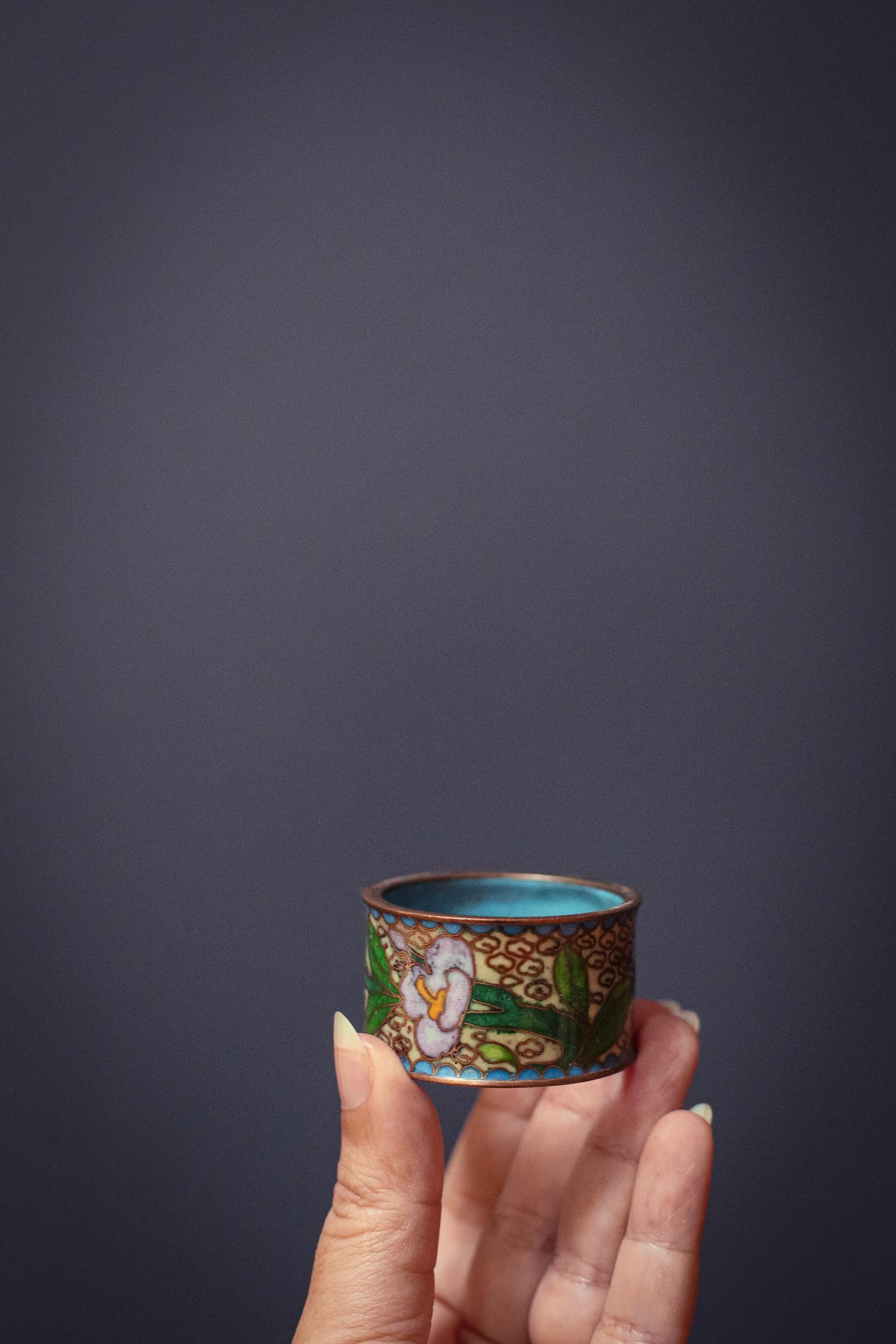 Set of 6 Cloisonne Napkin Rings - Vintage Cloisonne Brass Enamel Rings