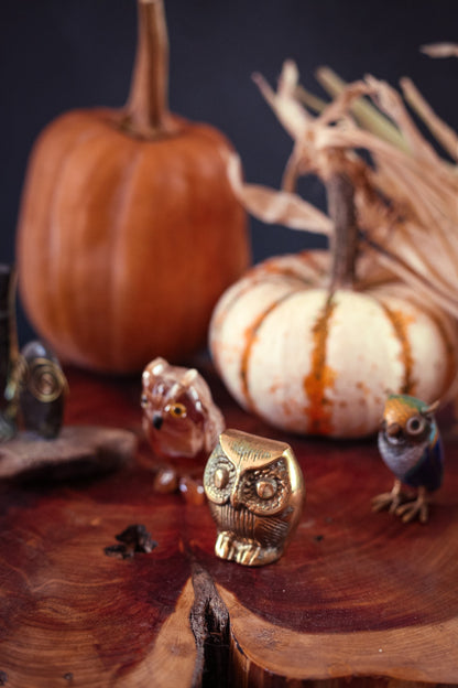 Collection of Small Owl Art Objects in Various Materials - Vintage Collectible Owl Figures