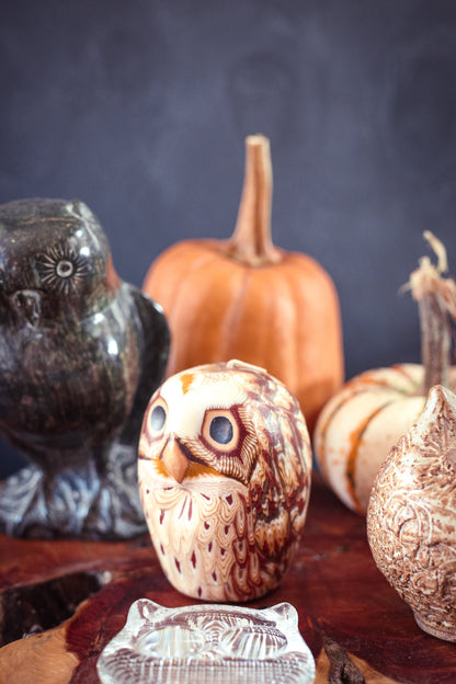 Eclectic Owl Shaped Objects in Glass, Stone, Wax - Vintage Decorative Owl Objects